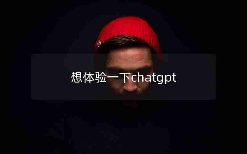 想体验一下chatgpt