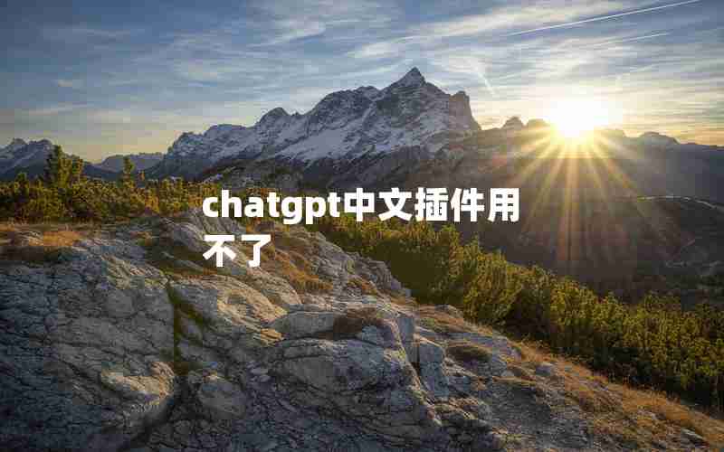 chatgpt中文插件用不了