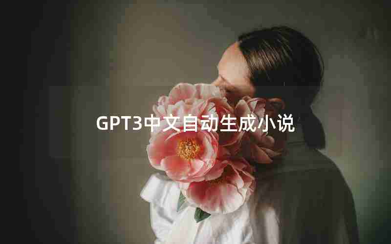 GPT3中文自动生成小说