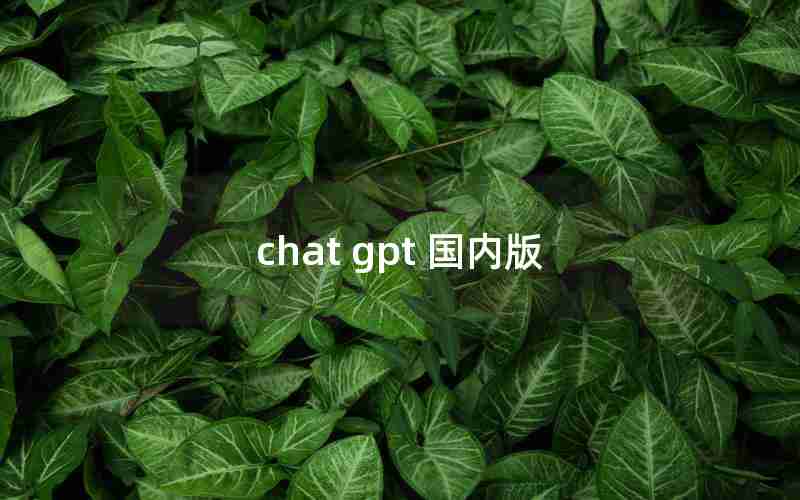 chat gpt 国内版