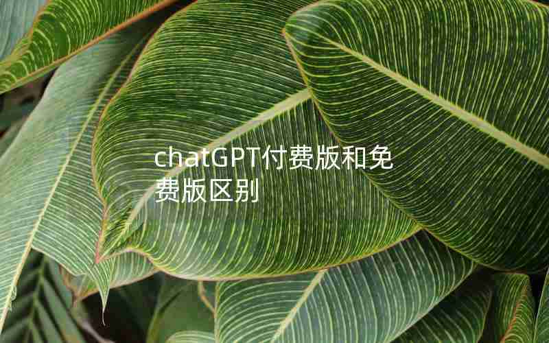 chatGPT付费版和免费版区别