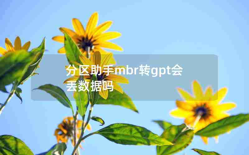 分区助手mbr转gpt会丢数据吗