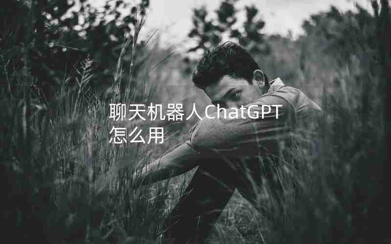 聊天机器人ChatGPT怎么用