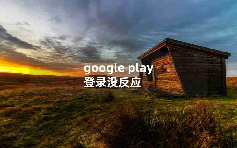 google play 登录没反应