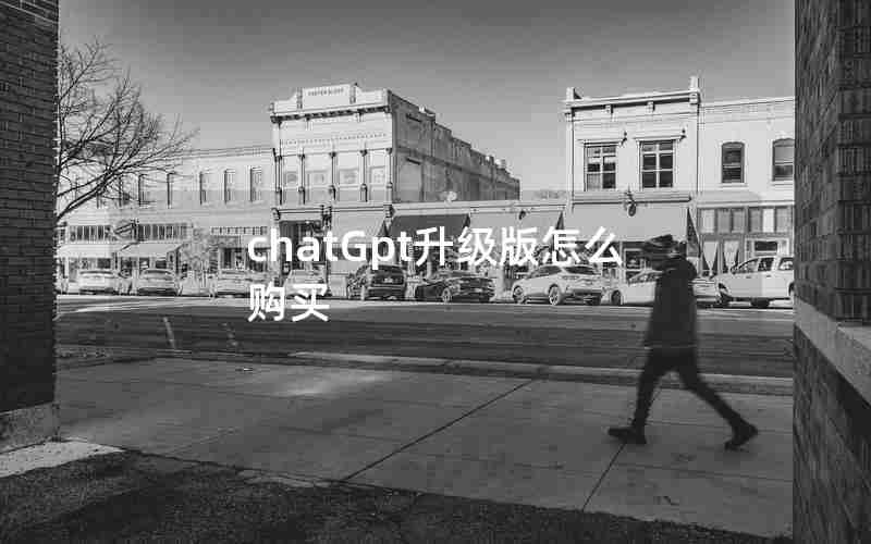 chatGpt升级版怎么购买