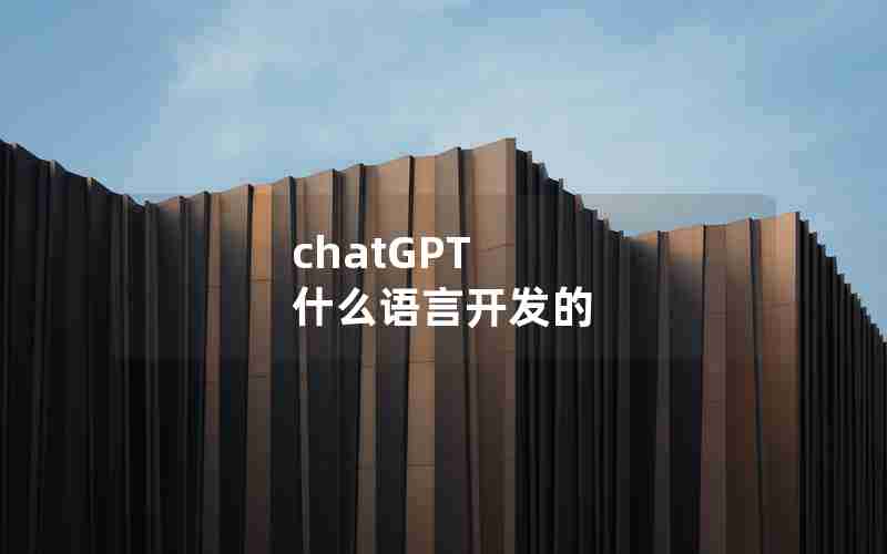 chatGPT 什么语言开发的