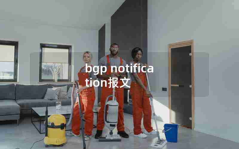 bgp notification报文