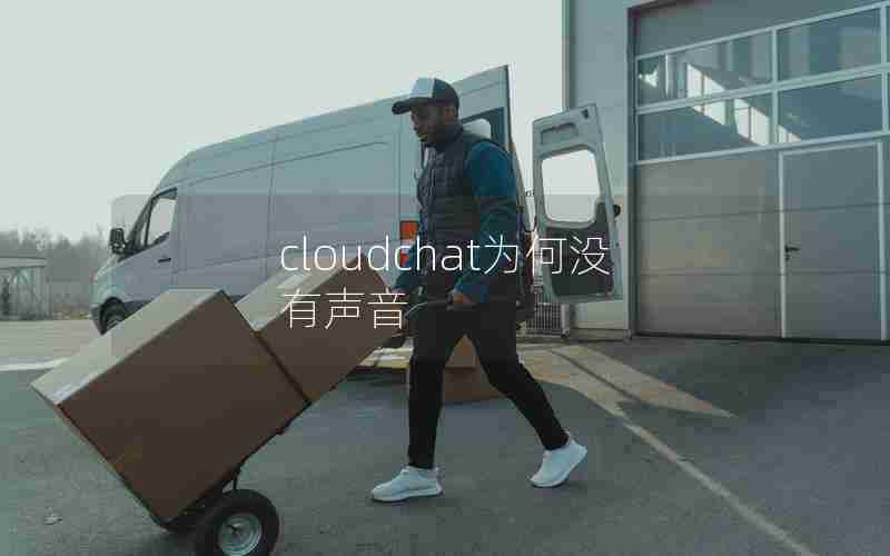 cloudchat为何没有声音