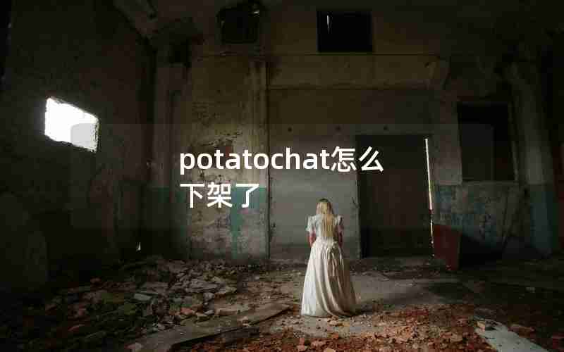 potatochat怎么下架了