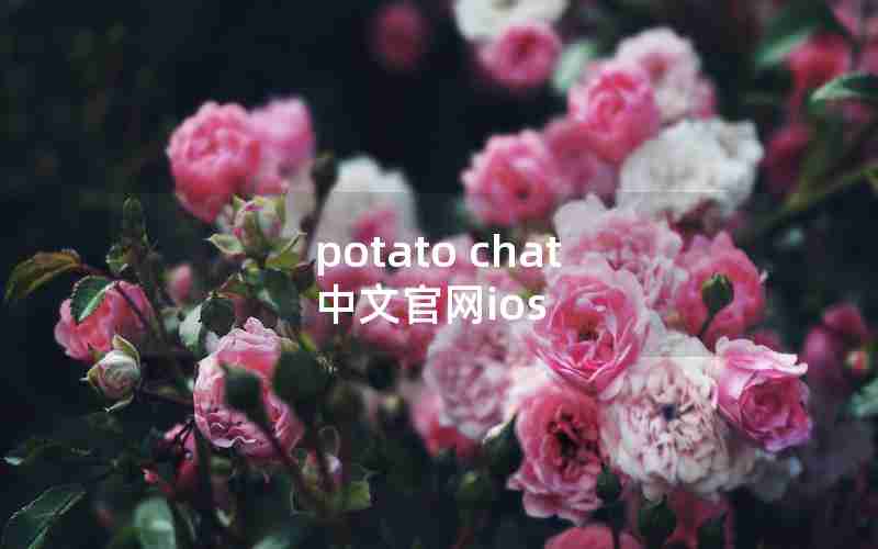 potato chat 中文官网ios