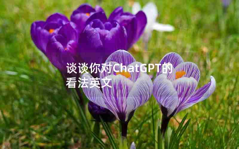 谈谈你对ChatGPT的看法英文