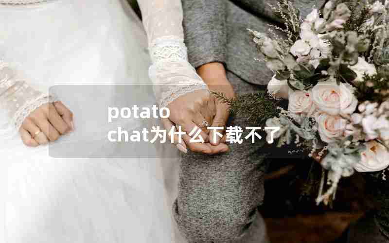 potato chat为什么下载不了