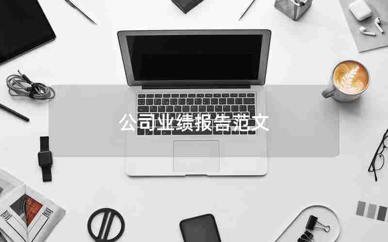 公司业绩报告范文