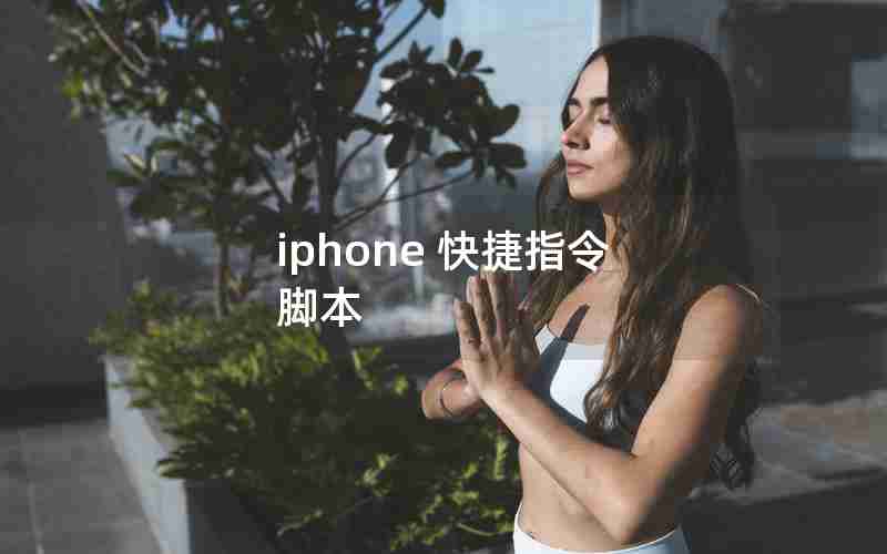 iphone 快捷指令 脚本