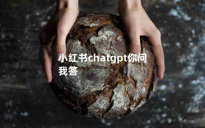 小红书chatgpt你问我答