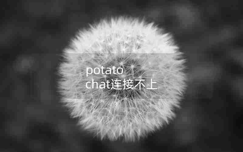 potato chat连接不上