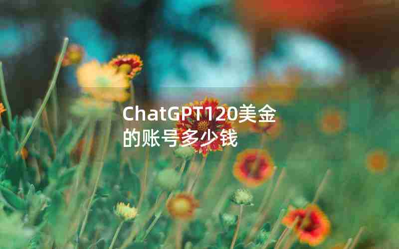 ChatGPT120美金的账号多少钱