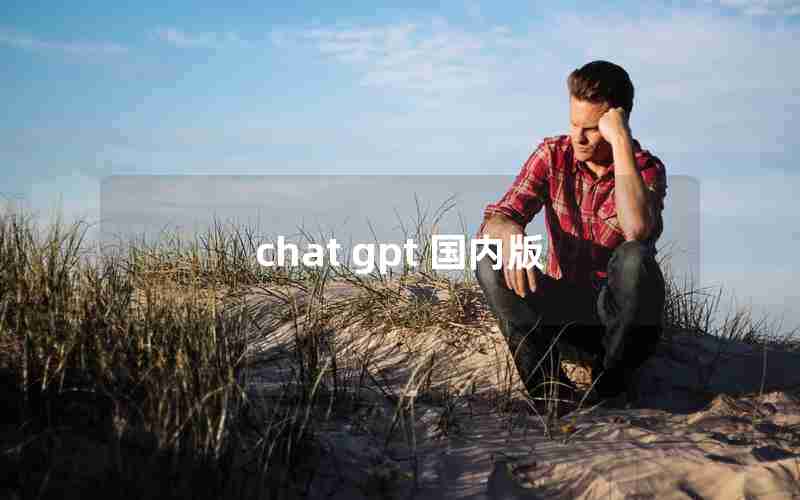 chat gpt 国内版