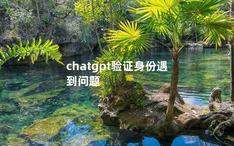 chatgpt验证身份遇到问题