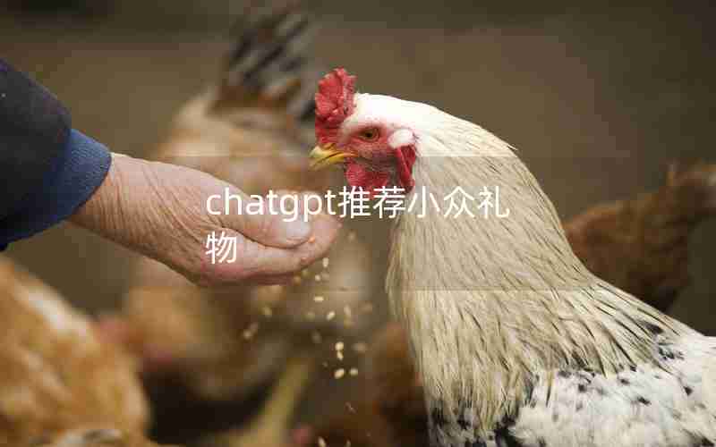 chatgpt推荐小众礼物