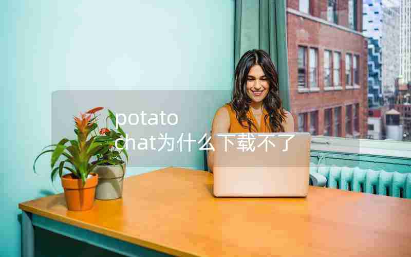 potato chat为什么下载不了