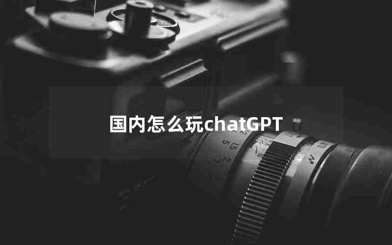 国内怎么玩chatGPT