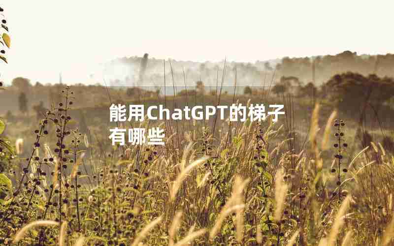 能用ChatGPT的梯子有哪些