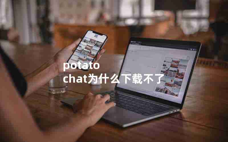 potato chat为什么下载不了