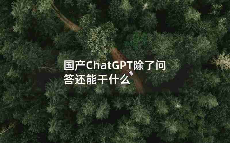 国产ChatGPT除了问答还能干什么