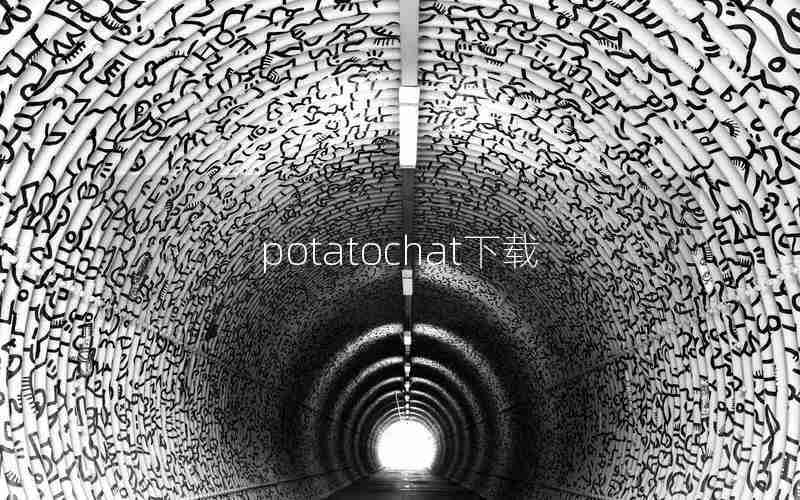 potatochat下载