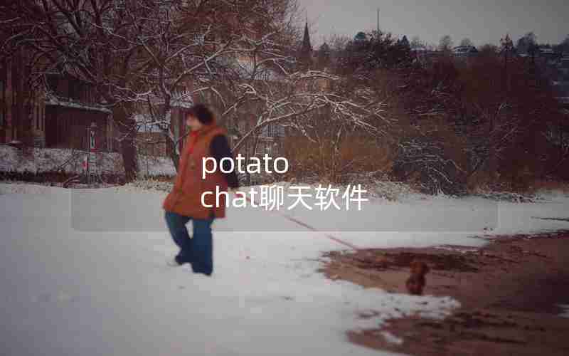 potato chat聊天软件