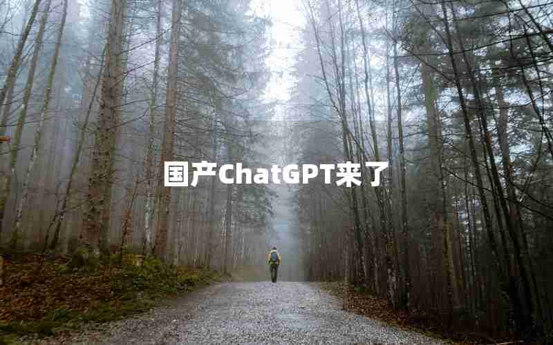 国产ChatGPT来了