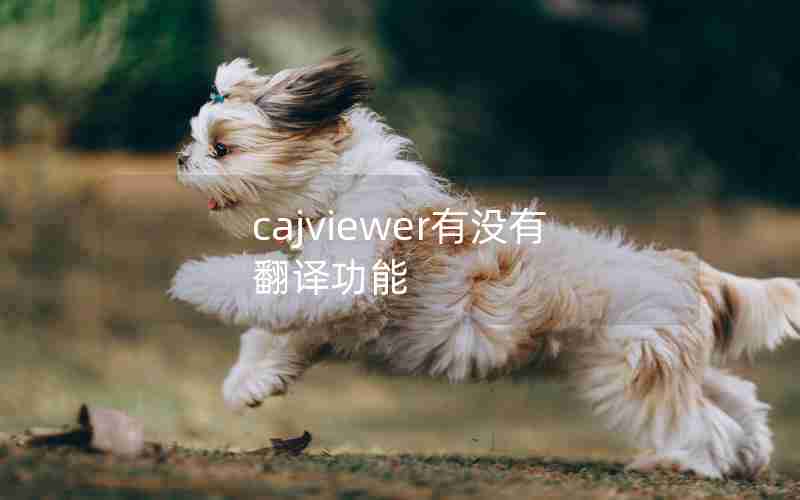 cajviewer有没有翻译功能