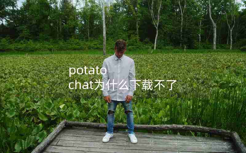 potato chat为什么下载不了