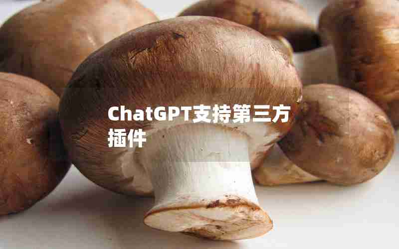 ChatGPT支持第三方插件