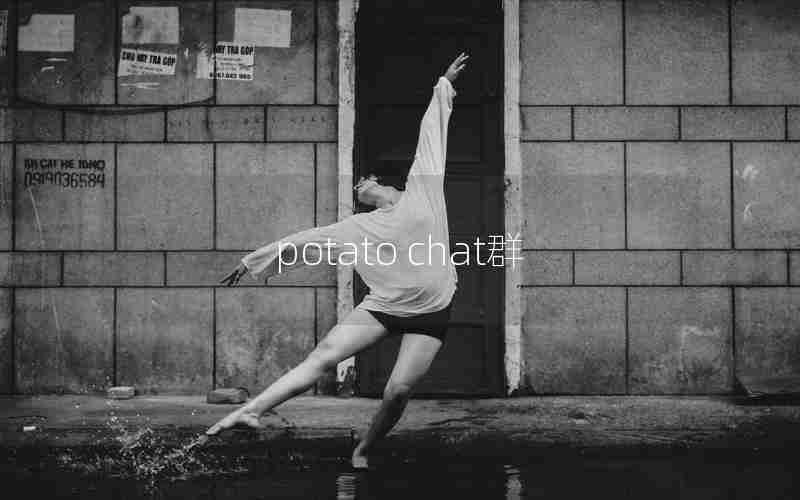 potato chat群