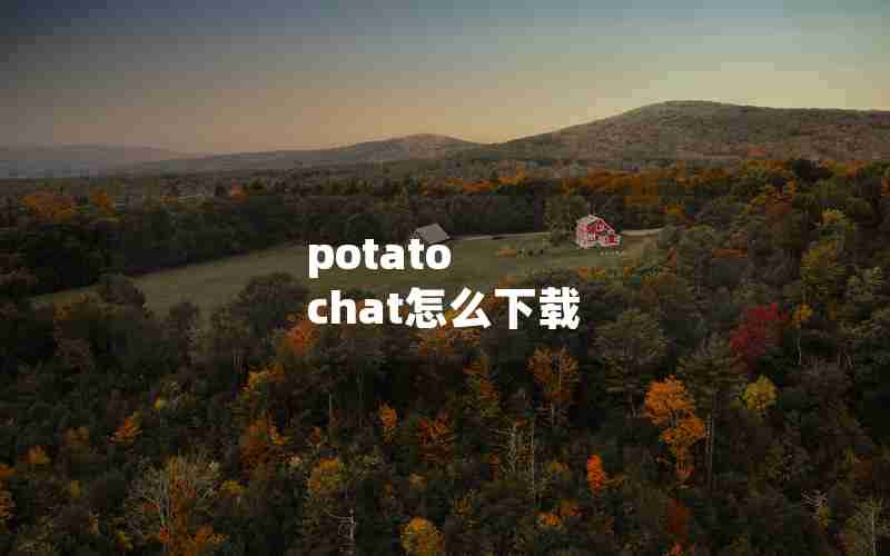 potato chat怎么下载