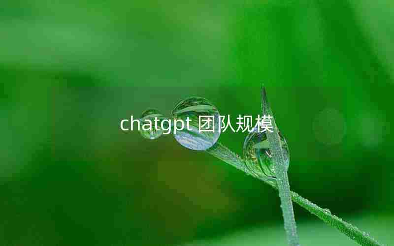 chatgpt 团队规模