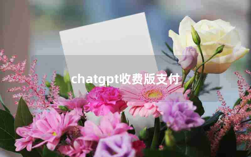 chatgpt收费版支付