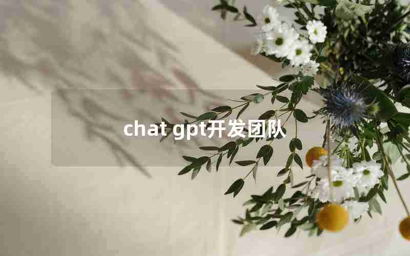 chat gpt开发团队