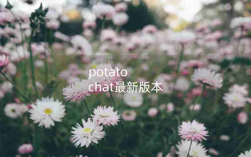 potato chat最新版本
