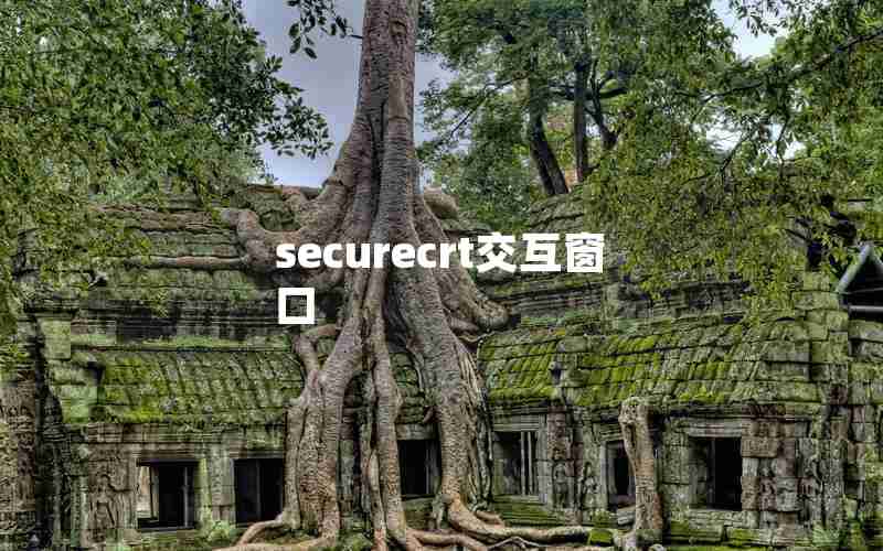 securecrt交互窗口