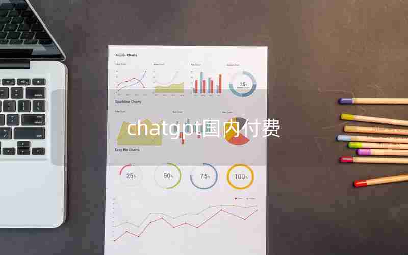 chatgpt国内付费-ChatGPT免费版有限制吗