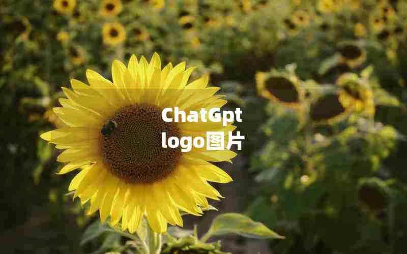 ChatGpt logo图片