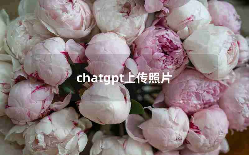 chatgpt上传照片