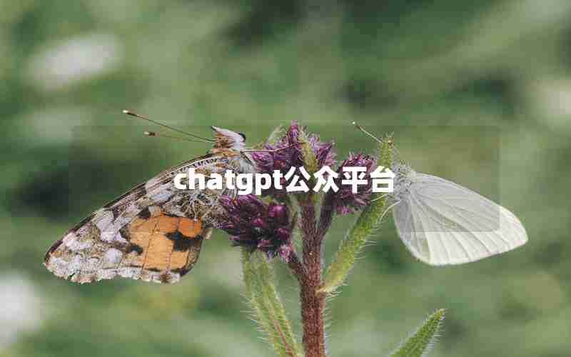 chatgpt公众平台