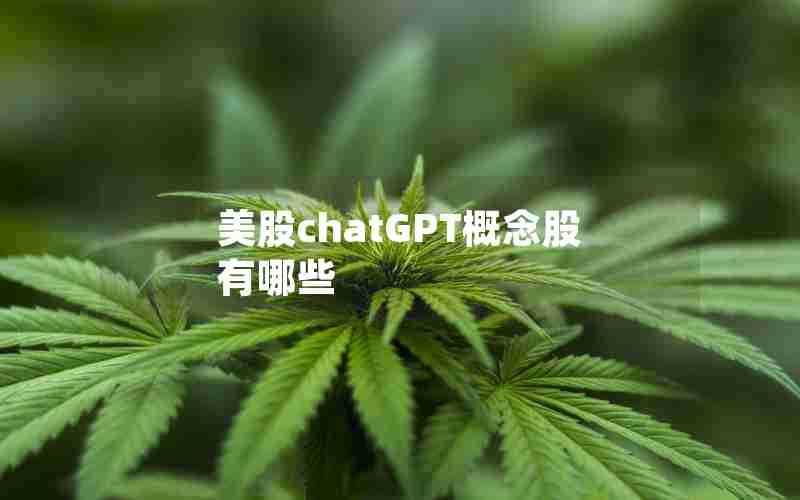 美股chatGPT概念股有哪些