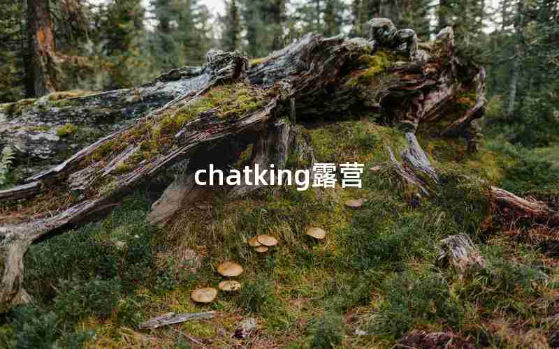 chatking露营