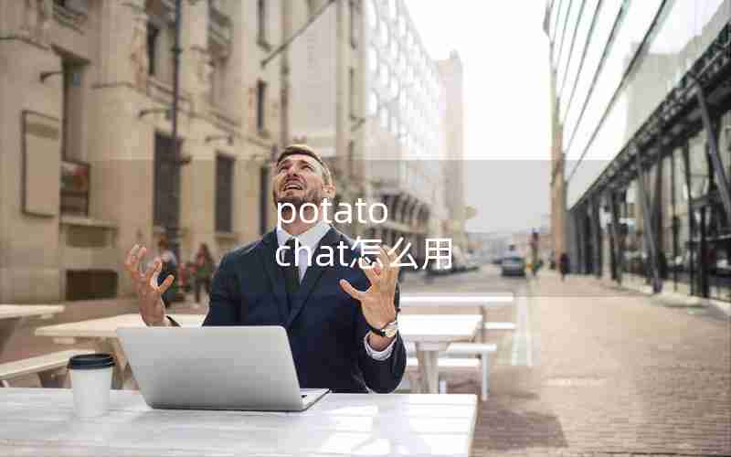 potato chat怎么用