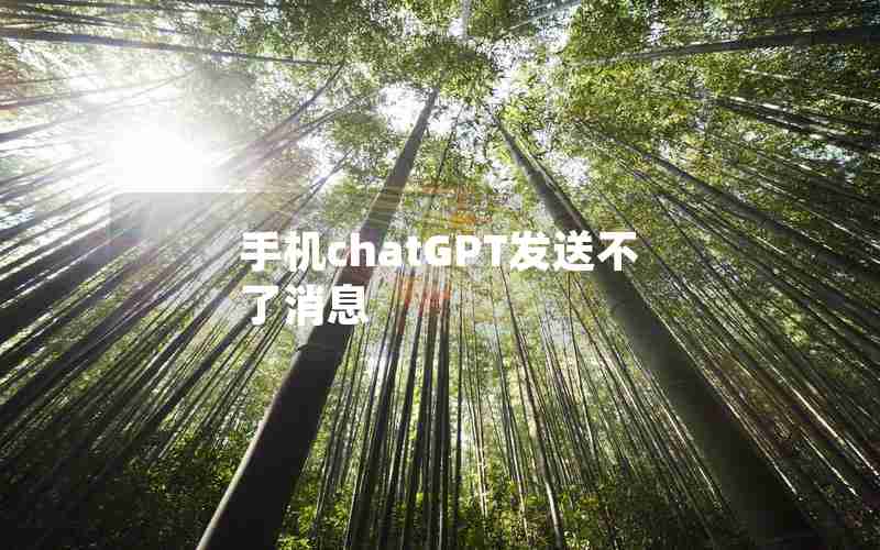 手机chatGPT发送不了消息